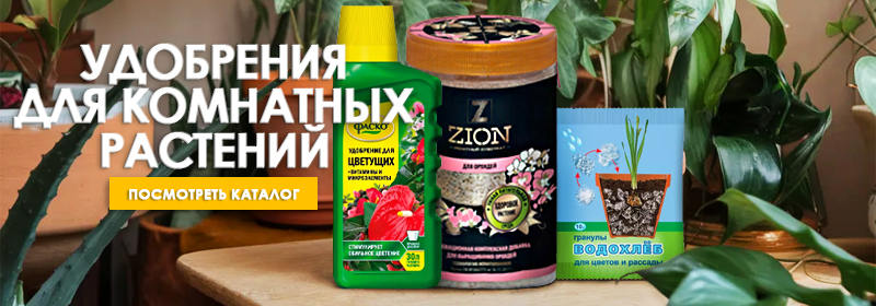 Удобрения для комнатных растений